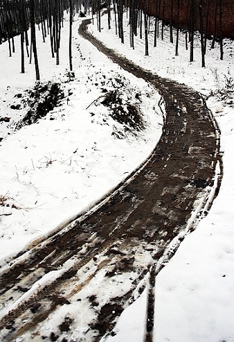雪后随拍