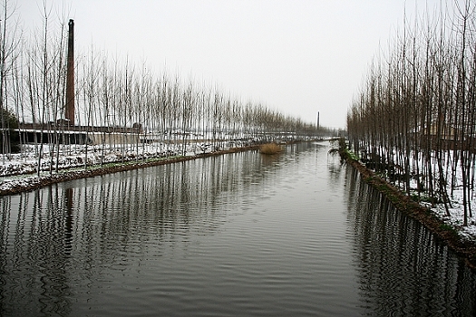 雪后随拍