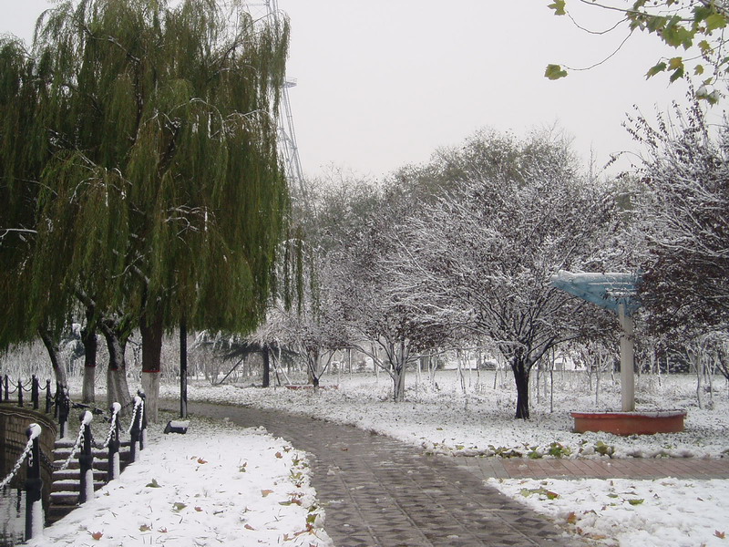 初雪