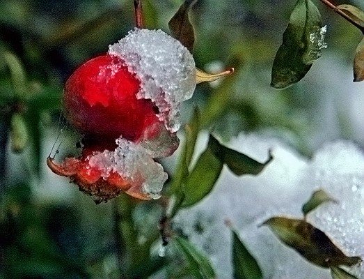 雪后随拍