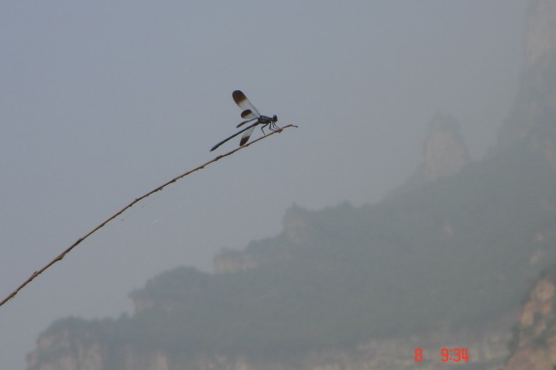 无题