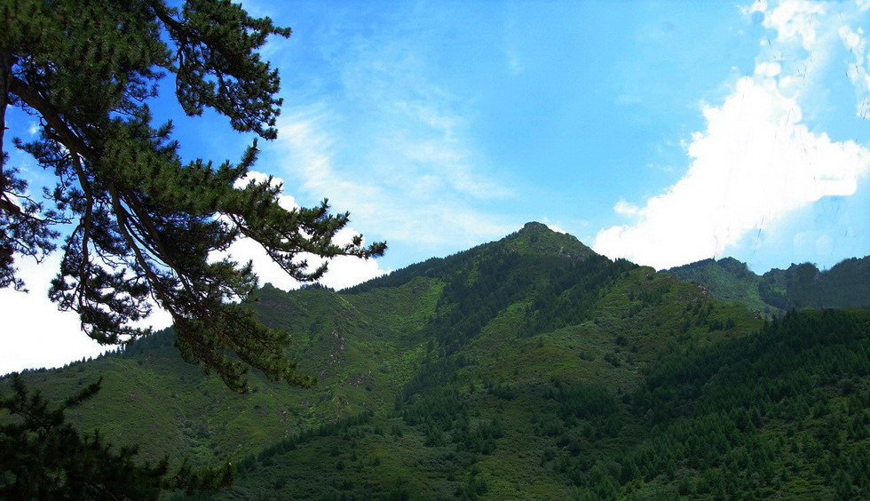 山