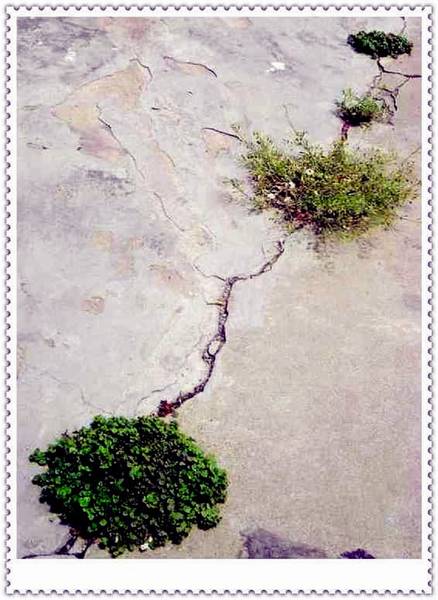 自强不息