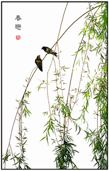 春恋