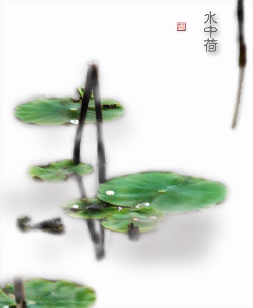 水中荷