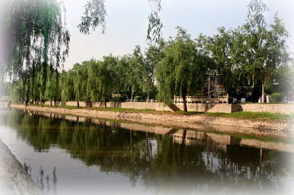 风景