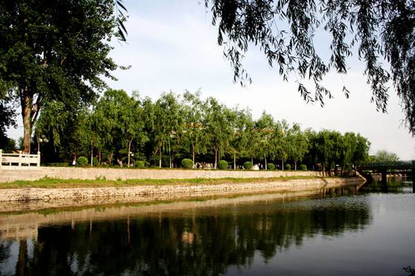 风景