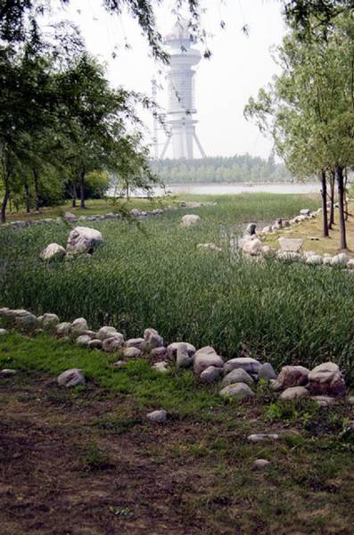 濮阳的风景