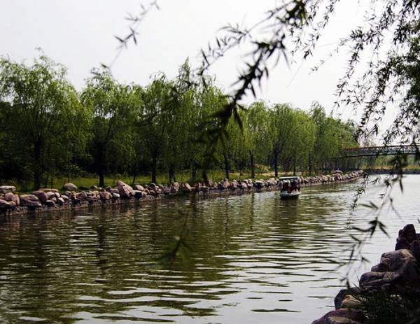 濮阳的风景