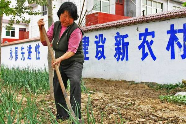 [原创]五一国际劳动节－“走进新农村”摄影采风活动之走进西辛庄