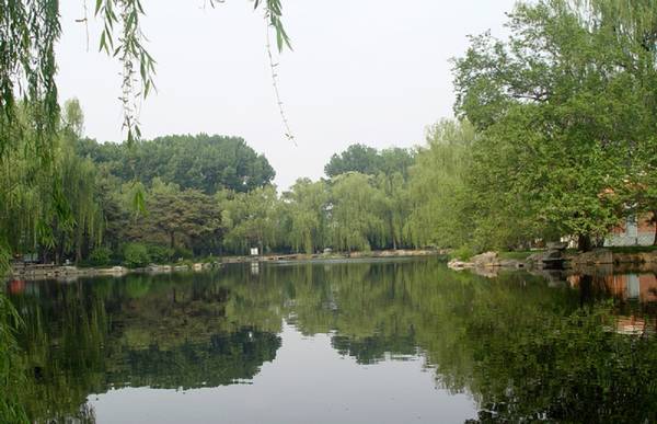 发张风景