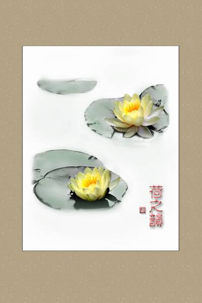 荷之韵