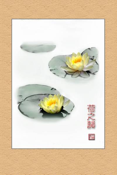 荷之韵