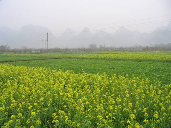 自然风光