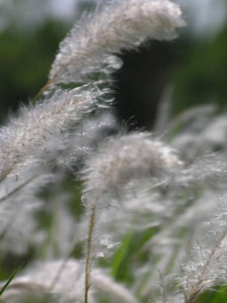 花絮