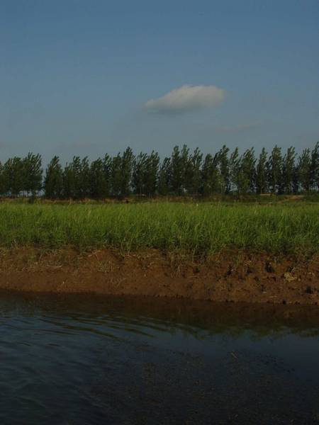 黄河