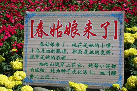老骏马在新疆（二）