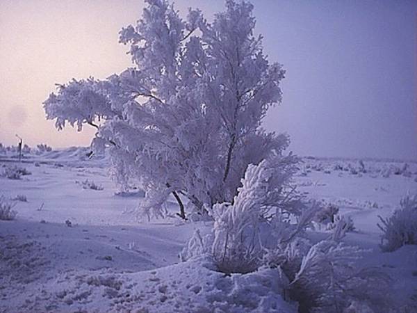 新疆的冰雪