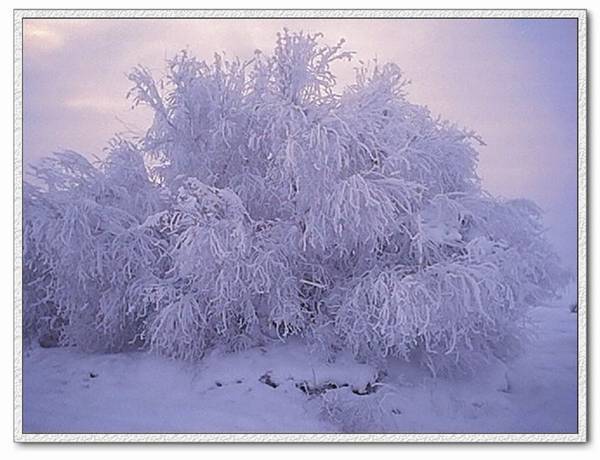 新疆的冰雪