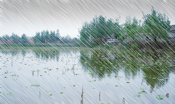 雨色荷塘