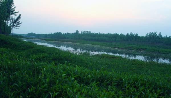 5月6日  金堤河濮阳南关