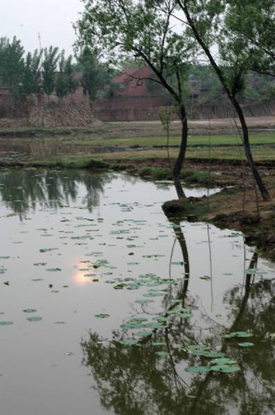 小景