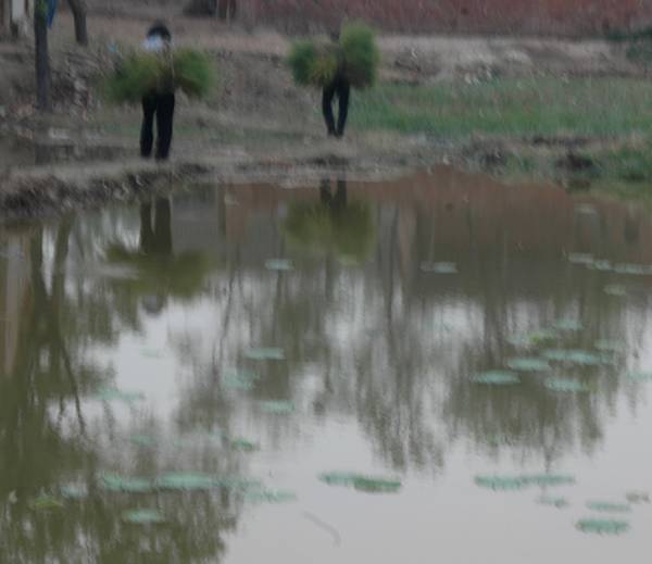 小景