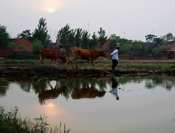 暮色