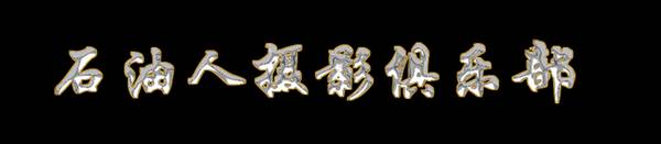 做几个镏金字