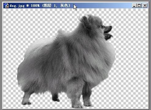 用PS抠图妙法：5分钟搞定毛发抠图