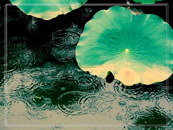 【原创】雨 中 曲 ～～～（小品！）
