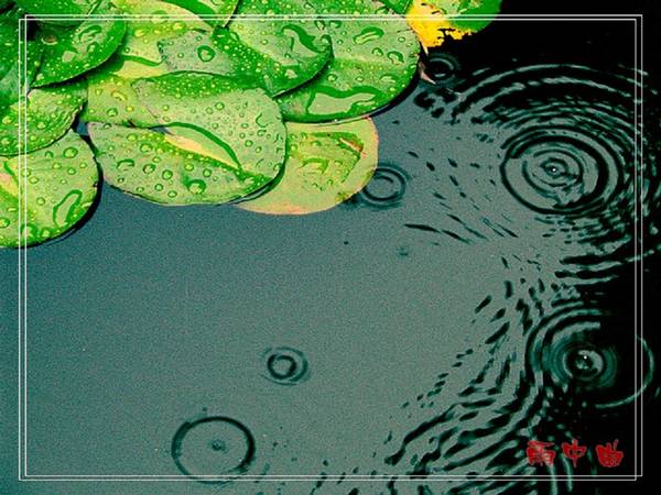 【原创】雨 中 曲 ～～～（小品！）