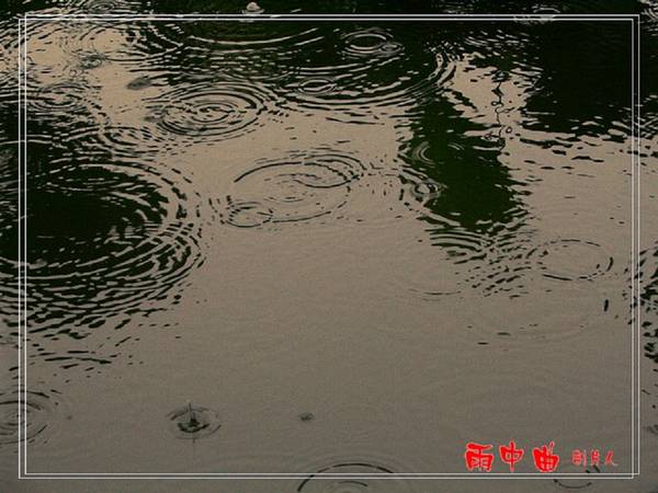 【原创】雨 中 曲 ～～～（小品！）