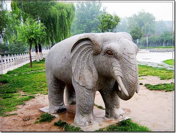 雨后
