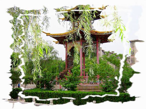 晨