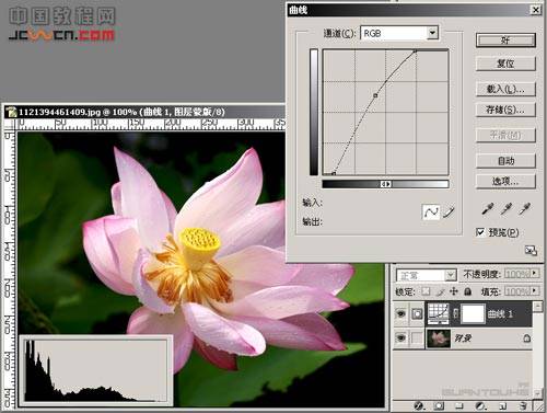 Photoshop让花朵更明艳通透