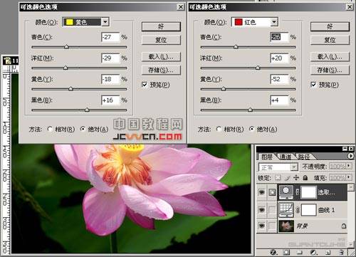 Photoshop让花朵更明艳通透