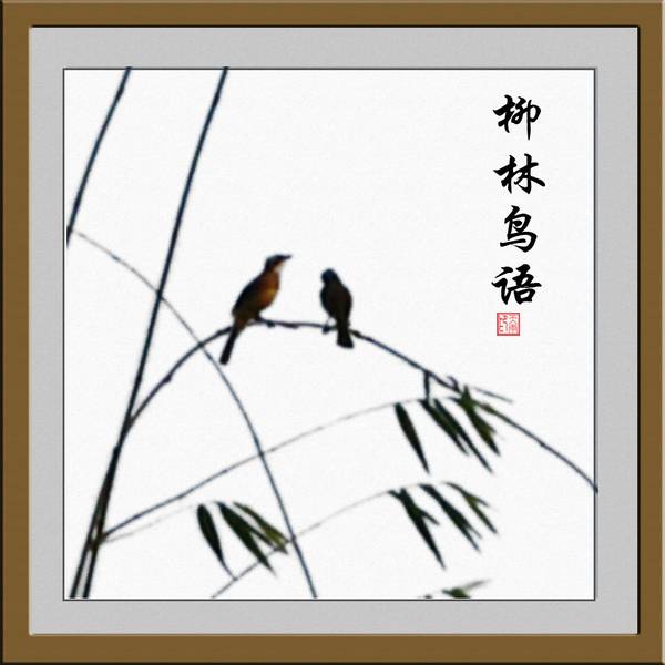 化腐朽为神奇