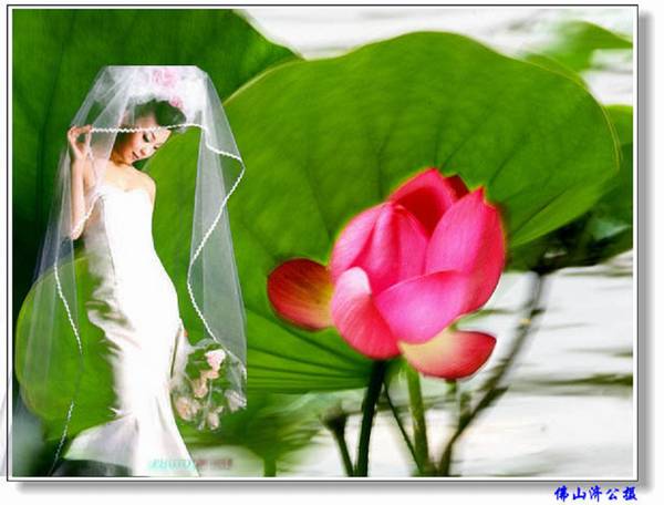 学抠白色婚纱