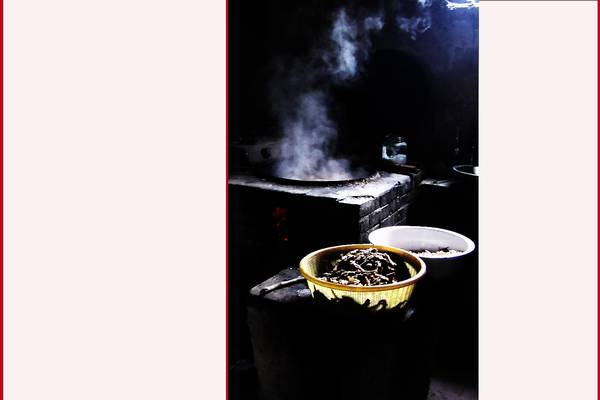目影作品(珊瑚秋海棠,炊烟煎皇粮)---我行我素推荐