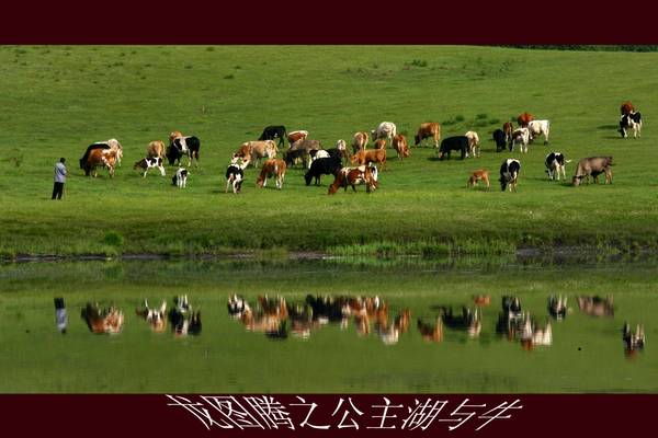 龙图腾作品(公主湖与牛)---我行我素推荐