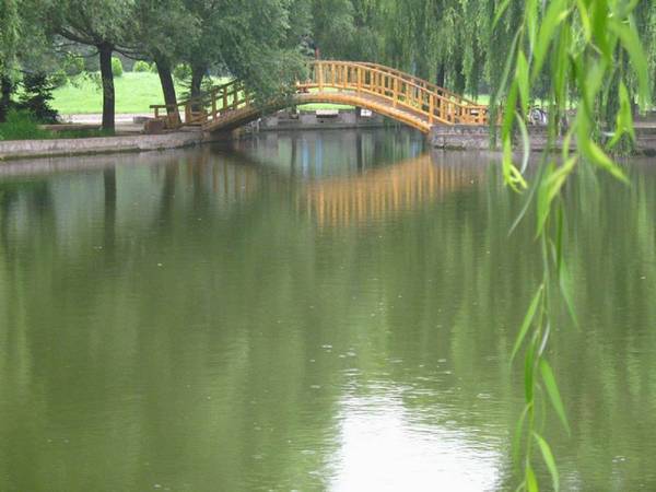 雨中的绿色庄园