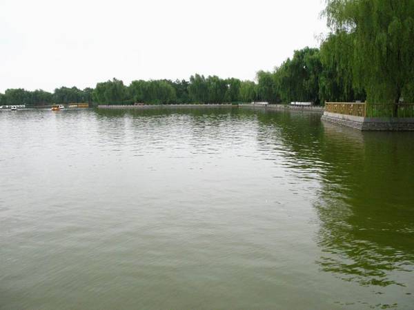 雨中的绿色庄园