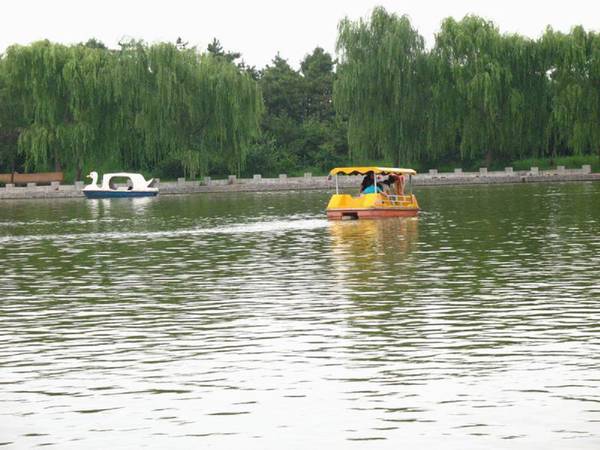 雨中的绿色庄园