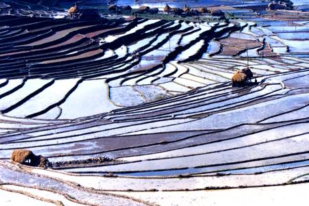 西双版纳风情---曼飞龙塔