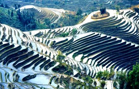 西双版纳风情---曼飞龙塔