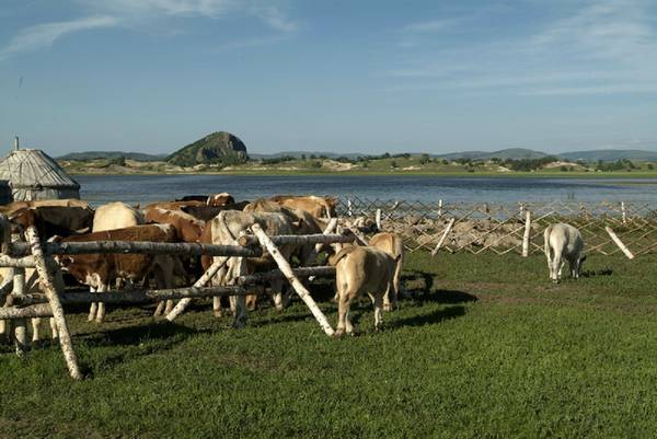 坝上风光一组20060701