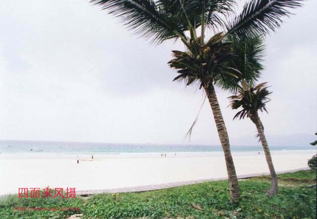 海南岛风光