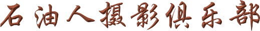 学作动画字