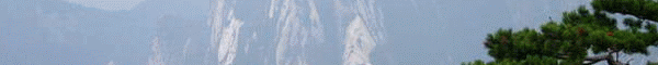 雷雷，请看是否合适？